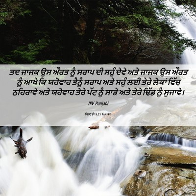 Picture 06 - ਗਿਣਤੀ 5:21 PANIRV - ਤਦ ਜਾਜਕ ਉਸ ਔਰਤ ਨੂੰ - Bible Verse Picture