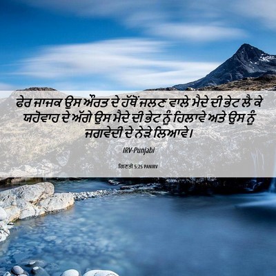 Picture 06 - ਗਿਣਤੀ 5:25 PANIRV - ਫੇਰ ਜਾਜਕ ਉਸ ਔਰਤ ਦੇ - Bible Verse Picture