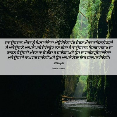 Picture 06 - ਗਿਣਤੀ 5:27 PANIRV - ਜਦ ਉਹ ਜਲ ਔਰਤ ਨੂੰ - Bible Verse Picture