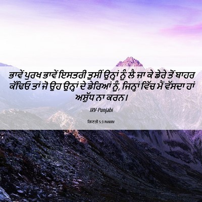 Picture 06 - ਗਿਣਤੀ 5:3 PANIRV - ਭਾਵੇਂ ਪੁਰਖ ਭਾਵੇਂ - Bible Verse Picture