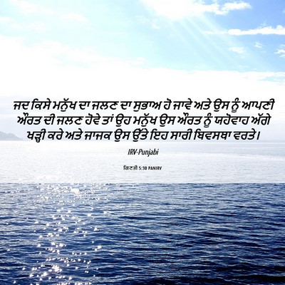 Picture 06 - ਗਿਣਤੀ 5:30 PANIRV - ਜਦ ਕਿਸੇ ਮਨੁੱਖ ਦਾ - Bible Verse Picture