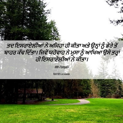 Picture 06 - ਗਿਣਤੀ 5:4 PANIRV - ਤਦ ਇਸਰਾਏਲੀਆਂ ਨੇ - Bible Verse Picture