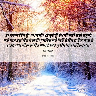 Picture 06 - ਗਿਣਤੀ 6:11 PANIRV - ਤਾਂ ਜਾਜਕ ਇੱਕ ਨੂੰ - Bible Verse Picture