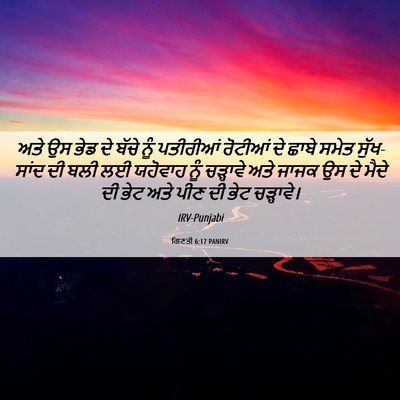 Picture 06 - ਗਿਣਤੀ 6:17 PANIRV - ਅਤੇ ਉਸ ਭੇਡ ਦੇ ਬੱਚੇ - Bible Verse Picture