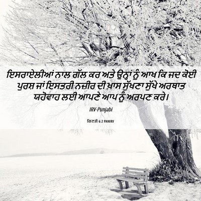 Picture 06 - ਗਿਣਤੀ 6:2 PANIRV - ਇਸਰਾਏਲੀਆਂ ਨਾਲ ਗੱਲ - Bible Verse Picture