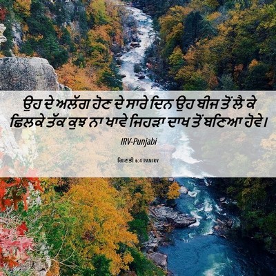 Picture 06 - ਗਿਣਤੀ 6:4 PANIRV - ਉਹ ਦੇ ਅਲੱਗ ਹੋਣ ਦੇ - Bible Verse Picture