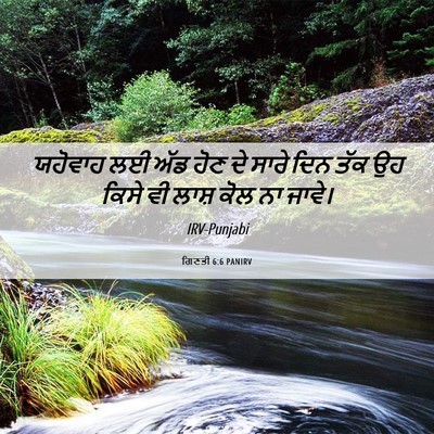 Picture 06 - ਗਿਣਤੀ 6:6 PANIRV - ਯਹੋਵਾਹ ਲਈ ਅੱਡ ਹੋਣ - Bible Verse Picture