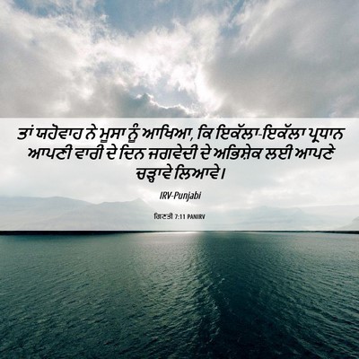Picture 06 - ਗਿਣਤੀ 7:11 PANIRV - ਤਾਂ ਯਹੋਵਾਹ ਨੇ ਮੂਸਾ - Bible Verse Picture