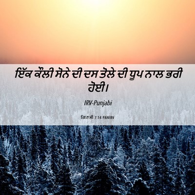 Picture 06 - ਗਿਣਤੀ 7:14 PANIRV - ਇੱਕ ਕੌਲੀ ਸੋਨੇ ਦੀ ਦਸ - Bible Verse Picture