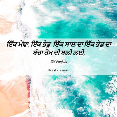 Picture 06 - ਗਿਣਤੀ 7:15 PANIRV - ਇੱਕ ਮੇਂਢਾ, ਇੱਕ - Bible Verse Picture