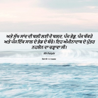 Picture 06 - ਗਿਣਤੀ 7:17 PANIRV - ਅਤੇ ਸੁੱਖ-ਸਾਂਦ ਦੀ - Bible Verse Picture
