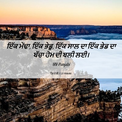 Picture 06 - ਗਿਣਤੀ 7:27 PANIRV - ਇੱਕ ਮੇਂਢਾ, ਇੱਕ - Bible Verse Picture