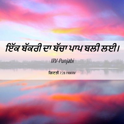 Picture 06 - ਗਿਣਤੀ 7:28 PANIRV - ਇੱਕ ਬੱਕਰੀ ਦਾ ਬੱਚਾ - Bible Verse Picture
