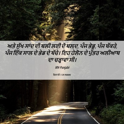 Picture 06 - ਗਿਣਤੀ 7:29 PANIRV - ਅਤੇ ਸੁੱਖ-ਸਾਂਦ ਦੀ - Bible Verse Picture