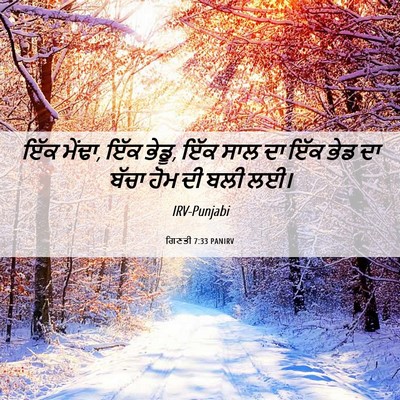 Picture 06 - ਗਿਣਤੀ 7:33 PANIRV - ਇੱਕ ਮੇਂਢਾ, ਇੱਕ - Bible Verse Picture
