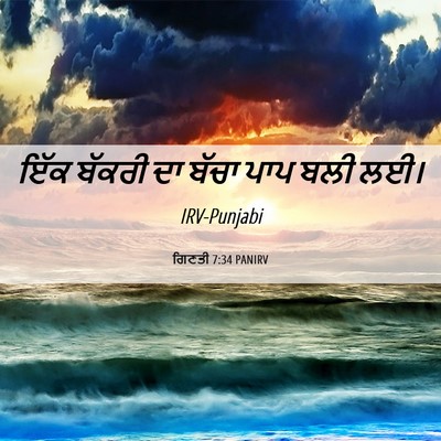 Picture 06 - ਗਿਣਤੀ 7:34 PANIRV - ਇੱਕ ਬੱਕਰੀ ਦਾ ਬੱਚਾ - Bible Verse Picture