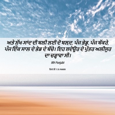 Picture 06 - ਗਿਣਤੀ 7:35 PANIRV - ਅਤੇ ਸੁੱਖ-ਸਾਂਦ ਦੀ - Bible Verse Picture