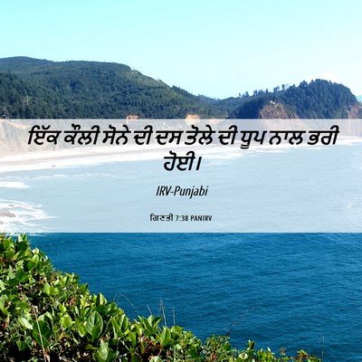 Picture 06 - ਗਿਣਤੀ 7:38 PANIRV - ਇੱਕ ਕੌਲੀ ਸੋਨੇ ਦੀ ਦਸ - Bible Verse Picture