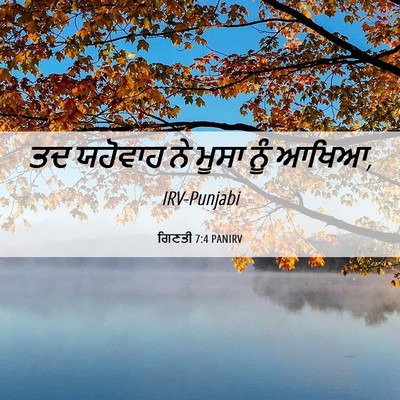 Picture 06 - ਗਿਣਤੀ 7:4 PANIRV - ਤਦ ਯਹੋਵਾਹ ਨੇ ਮੂਸਾ - Bible Verse Picture