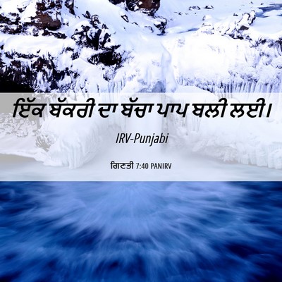 Picture 06 - ਗਿਣਤੀ 7:40 PANIRV - ਇੱਕ ਬੱਕਰੀ ਦਾ ਬੱਚਾ - Bible Verse Picture