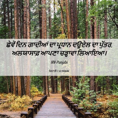Picture 06 - ਗਿਣਤੀ 7:42 PANIRV - ਛੇਵੇਂ ਦਿਨ ਗਾਦੀਆਂ - Bible Verse Picture