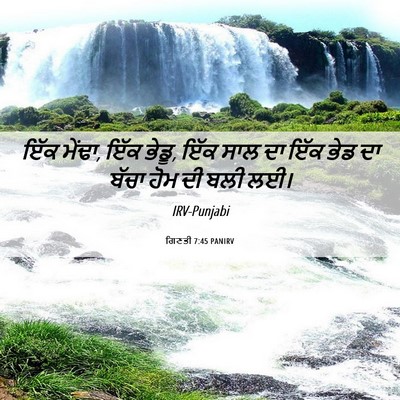 Picture 06 - ਗਿਣਤੀ 7:45 PANIRV - ਇੱਕ ਮੇਂਢਾ, ਇੱਕ - Bible Verse Picture