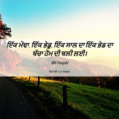 Picture 06 - ਗਿਣਤੀ 7:51 PANIRV - ਇੱਕ ਮੇਂਢਾ, ਇੱਕ - Bible Verse Picture