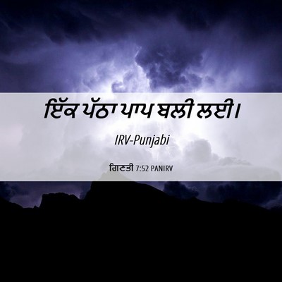 Picture 06 - ਗਿਣਤੀ 7:52 PANIRV - ਇੱਕ ਪੱਠਾ ਪਾਪ ਬਲੀ - Bible Verse Picture