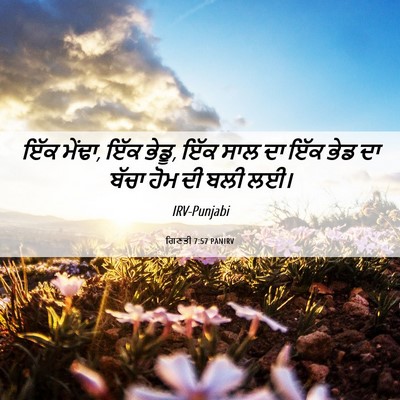 Picture 06 - ਗਿਣਤੀ 7:57 PANIRV - ਇੱਕ ਮੇਂਢਾ, ਇੱਕ - Bible Verse Picture