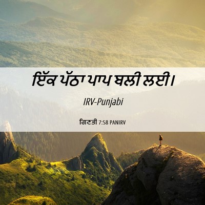 Picture 06 - ਗਿਣਤੀ 7:58 PANIRV - ਇੱਕ ਪੱਠਾ ਪਾਪ ਬਲੀ - Bible Verse Picture