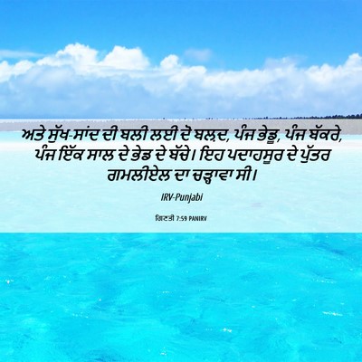 Picture 06 - ਗਿਣਤੀ 7:59 PANIRV - ਅਤੇ ਸੁੱਖ-ਸਾਂਦ ਦੀ - Bible Verse Picture
