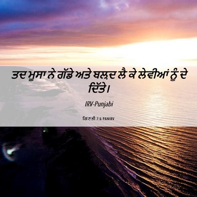 Picture 06 - ਗਿਣਤੀ 7:6 PANIRV - ਤਦ ਮੂਸਾ ਨੇ ਗੱਡੇ ਅਤੇ - Bible Verse Picture