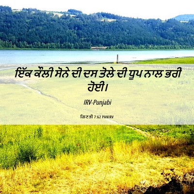 Picture 06 - ਗਿਣਤੀ 7:62 PANIRV - ਇੱਕ ਕੌਲੀ ਸੋਨੇ ਦੀ ਦਸ - Bible Verse Picture