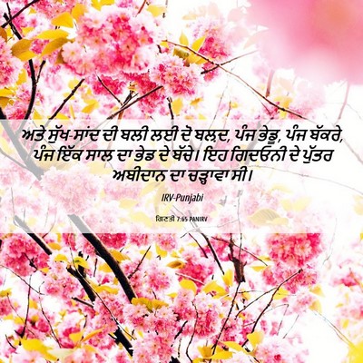 Picture 06 - ਗਿਣਤੀ 7:65 PANIRV - ਅਤੇ ਸੁੱਖ-ਸਾਂਦ ਦੀ - Bible Verse Picture