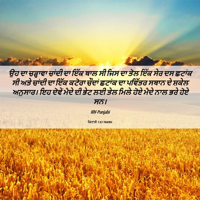 Picture 06 - ਗਿਣਤੀ 7:67 PANIRV - ਉਹ ਦਾ ਚੜ੍ਹਾਵਾ - Bible Verse Picture