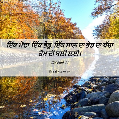 Picture 06 - ਗਿਣਤੀ 7:69 PANIRV - ਇੱਕ ਮੇਂਢਾ, ਇੱਕ - Bible Verse Picture