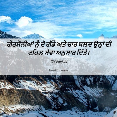 Picture 06 - ਗਿਣਤੀ 7:7 PANIRV - ਗੇਰਸ਼ੋਨੀਆਂ ਨੂੰ ਦੋ - Bible Verse Picture