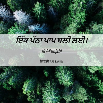 Picture 06 - ਗਿਣਤੀ 7:70 PANIRV - ਇੱਕ ਪੱਠਾ ਪਾਪ ਬਲੀ - Bible Verse Picture
