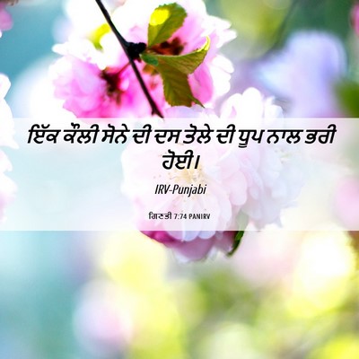 Picture 06 - ਗਿਣਤੀ 7:74 PANIRV - ਇੱਕ ਕੌਲੀ ਸੋਨੇ ਦੀ ਦਸ - Bible Verse Picture
