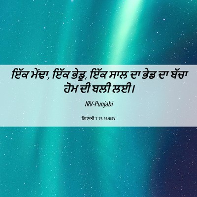 Picture 06 - ਗਿਣਤੀ 7:75 PANIRV - ਇੱਕ ਮੇਂਢਾ, ਇੱਕ - Bible Verse Picture