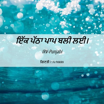 Picture 06 - ਗਿਣਤੀ 7:76 PANIRV - ਇੱਕ ਪੱਠਾ ਪਾਪ ਬਲੀ - Bible Verse Picture