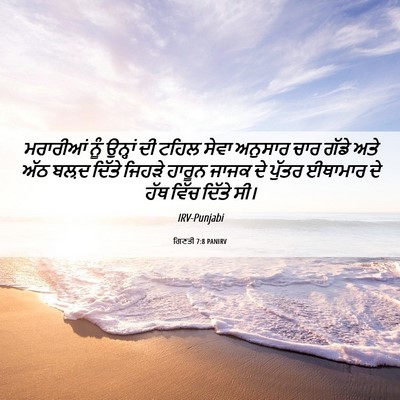 Picture 06 - ਗਿਣਤੀ 7:8 PANIRV - ਮਰਾਰੀਆਂ ਨੂੰ - Bible Verse Picture
