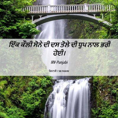 Picture 06 - ਗਿਣਤੀ 7:80 PANIRV - ਇੱਕ ਕੌਲੀ ਸੋਨੇ ਦੀ ਦਸ - Bible Verse Picture