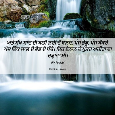 Picture 06 - ਗਿਣਤੀ 7:83 PANIRV - ਅਤੇ ਸੁੱਖ-ਸਾਂਦ ਦੀ - Bible Verse Picture