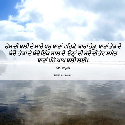 Picture 06 - ਗਿਣਤੀ 7:87 PANIRV - ਹੋਮ ਦੀ ਬਲੀ ਦੇ ਸਾਰੇ - Bible Verse Picture