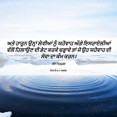 Picture 06 - ਗਿਣਤੀ 8:11 PANIRV - ਅਤੇ ਹਾਰੂਨ ਉਨ੍ਹਾਂ - Bible Verse Picture