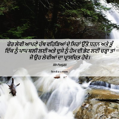 Picture 06 - ਗਿਣਤੀ 8:12 PANIRV - ਫੇਰ ਲੇਵੀ ਆਪਣੇ ਹੱਥ - Bible Verse Picture