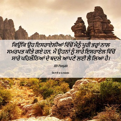 Picture 06 - ਗਿਣਤੀ 8:16 PANIRV - ਕਿਉਂਕਿ ਉਹ - Bible Verse Picture