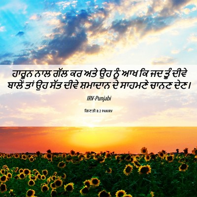 Picture 06 - ਗਿਣਤੀ 8:2 PANIRV - ਹਾਰੂਨ ਨਾਲ ਗੱਲ ਕਰ - Bible Verse Picture