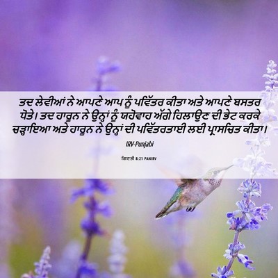 Picture 06 - ਗਿਣਤੀ 8:21 PANIRV - ਤਦ ਲੇਵੀਆਂ ਨੇ ਆਪਣੇ - Bible Verse Picture